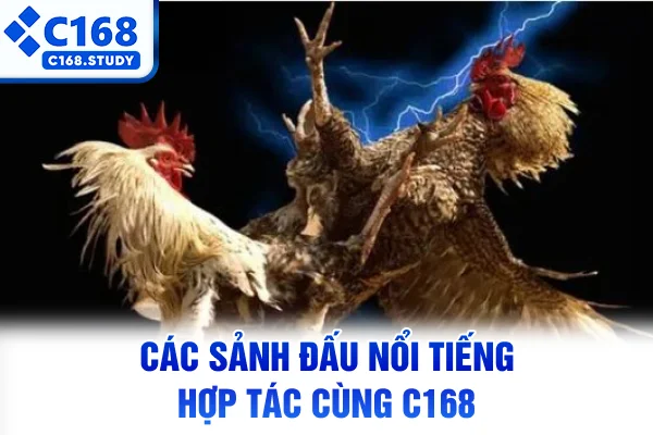 Các sảnh đấu nổi tiếng hợp tác cùng C168