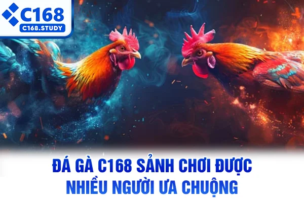 Đá gà C168 - Sảnh chơi được nhiều người ưa chuộng